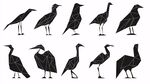 幾何風(fēng)格鳥類剪影集合