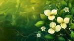 清新綠葉間的素雅花朵