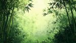 清幽竹林 綠意盎然的世界
