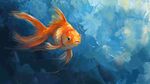 夢(mèng)幻游弋的橙色金魚
