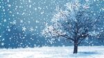 雪夜孤樹