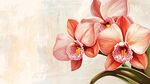 粉色嬌美蘭花水彩畫