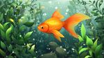 金魚(yú)悠游于水草間的美景