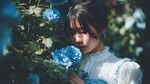 藍(lán)玫瑰旁的唯美少女
