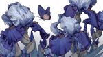藍(lán)紫色鳶尾花間的蝴蝶