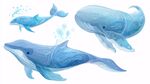 三只藍色夢幻鯨魚插畫