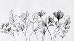 黑白花卉線條插畫