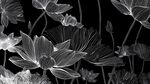 黑白水墨風(fēng)蓮花圖案