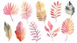 水彩風(fēng)多彩植物葉片插畫(huà)