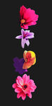 定位花