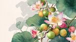 水墨荷花碩果圖
