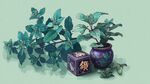 中式盆栽與綠植靜物展示