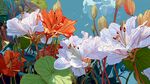 絢麗多彩的花卉插畫(huà)世界