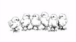 一排雛雞黑白插畫