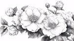黑白花卉素描圖