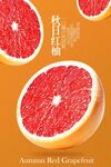 紅心柚子新鮮水果海報