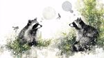 浣熊對(duì)話圖 自然中的萌趣瞬間