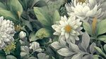 素雅花卉綠植精致插畫
