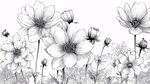 黑白花卉線稿插畫