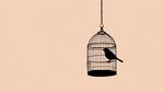 籠中鳥(niǎo)的孤獨(dú)剪影
