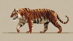 行走的斑斕猛虎