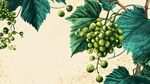 清新手繪風(fēng)綠葡萄與枝葉
