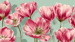 粉色郁金香花卉背景圖