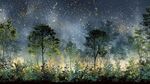 夢(mèng)幻星空下的靜謐森林