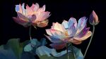 夢(mèng)幻絢麗的多彩荷花綻放