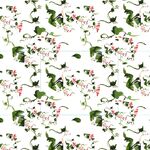 大花 牽?；ㄖ参?  title=