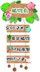 植物養(yǎng)護指示牌  植物角