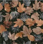 多彩秋葉圖案紋理背景