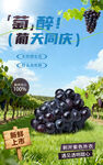葡萄海報(bào)