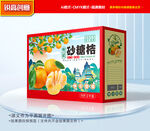 砂糖橘包裝 桔子禮盒