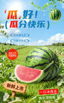 西瓜海報(bào)