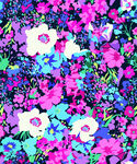 繽紛多彩花卉圖案