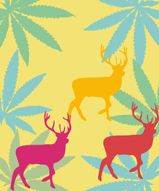 可爱彩色小鹿海报图片