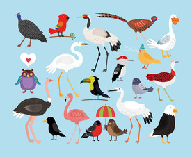 时尚鸟儿卡通墙贴设计素材