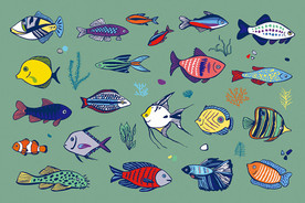 鱼群矢量卡通墙贴设计素材