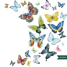 矢量蝴蝶墙贴素材