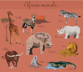 原始森林动物素材