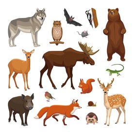 手绘矢量森林动物