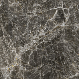 深色大理石通道分色