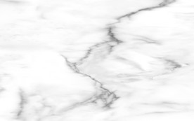 中式新豪华鱼肚白 tif合层