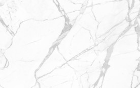 爆款新天然鱼肚白 tif合层