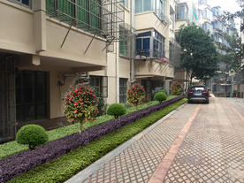 绿化改造景观设计效果图