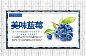 蓝莓海报
