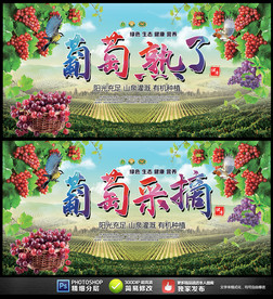 葡萄熟了葡萄采摘展板海報(bào)