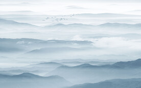 新中式装饰画背景墙