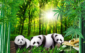 綠色森林大熊貓電視背景墻
